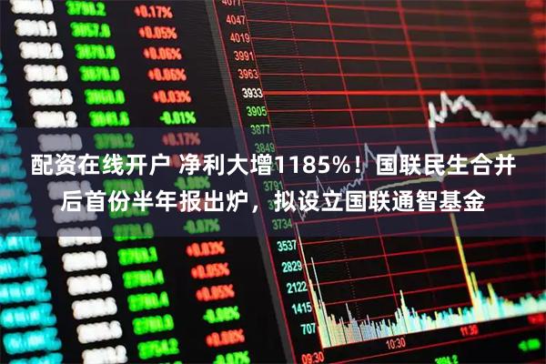 配资在线开户 净利大增1185%！国联民生合并后首份半年报出炉，拟设立国联通智基金