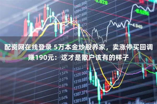 配资网在线登录 5万本金炒股养家，卖涨停买回调赚190元：这才是散户该有的样子