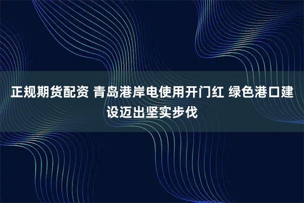 正规期货配资 青岛港岸电使用开门红 绿色港口建设迈出坚实步伐
