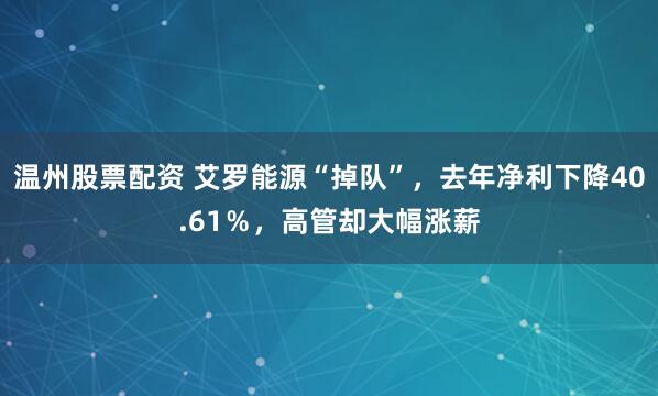 温州股票配资 艾罗能源“掉队”，去年净利下降40.61％，高管却大幅涨薪